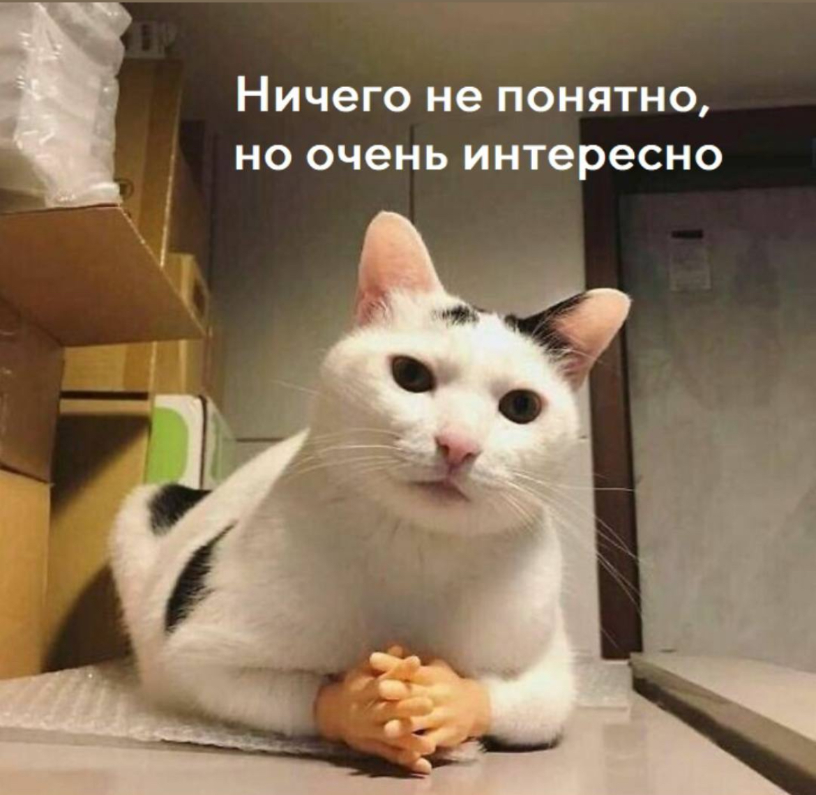 Заголовок