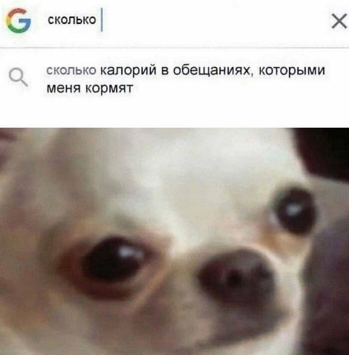 Заголовок