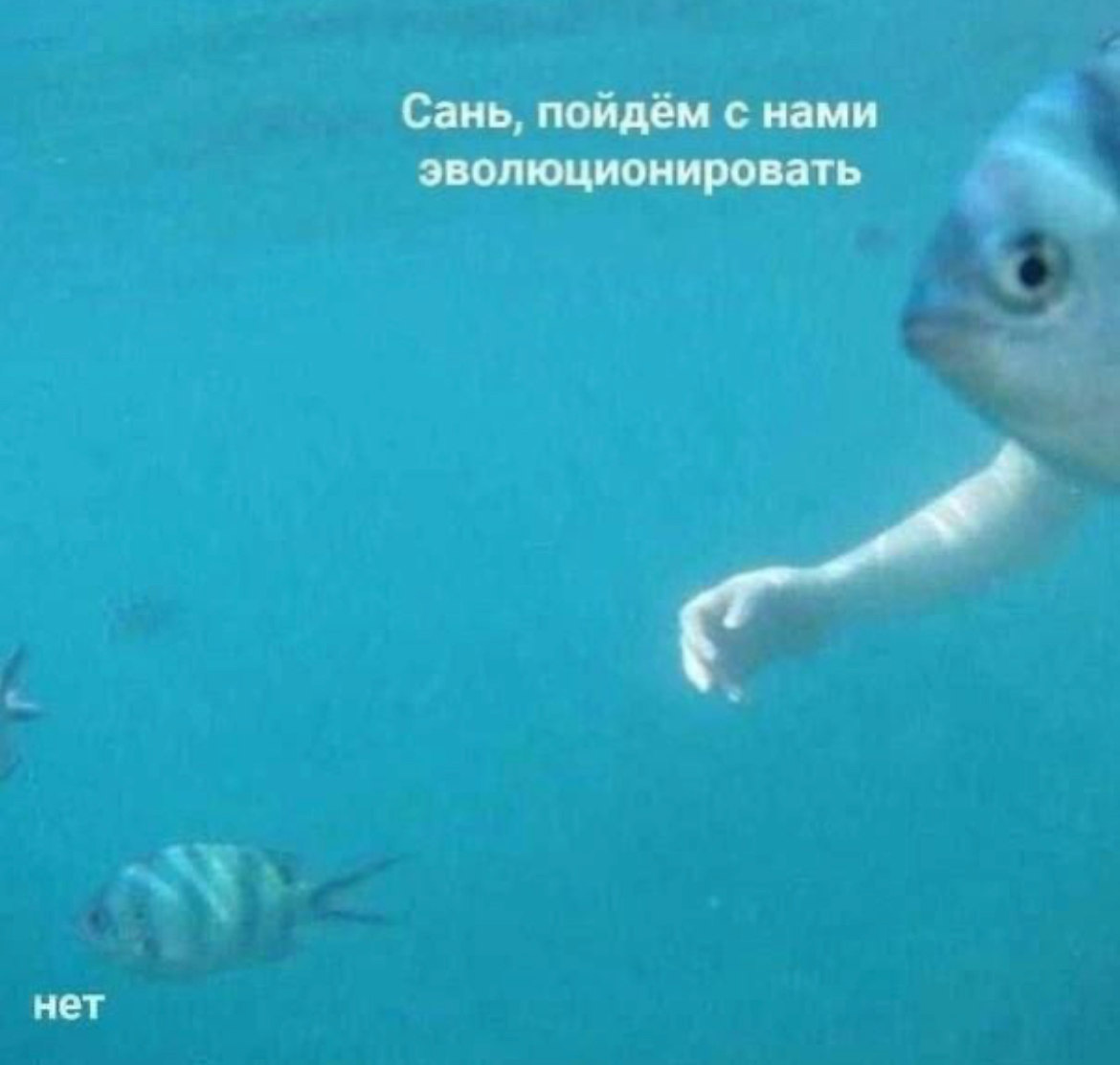 Заголовок